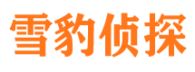 泽库侦探公司